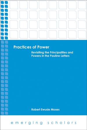Cover of the book Practices of Power by Gillian T. W. Ahlgren