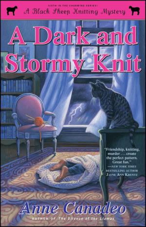 Cover of the book A Dark and Stormy Knit by Ke$ha