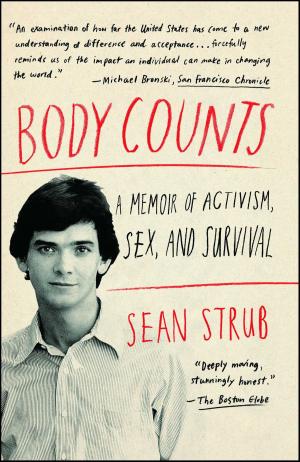Cover of the book Body Counts by Cheryl Mendelson