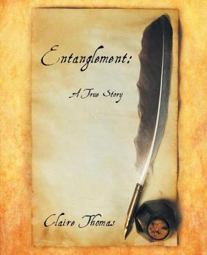 Cover of the book Entanglement: a True Story by Yeseph Albert Schindler