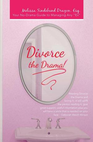 Cover of the book Divorce the Drama! by Kerri Hummingbird Sami