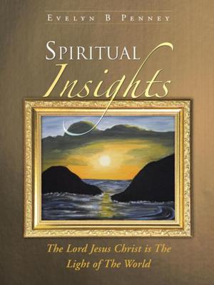 Cover of the book Spiritual Insights by Ahmed Lotfy Rashed