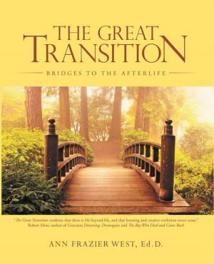 Book cover of The Great Transition