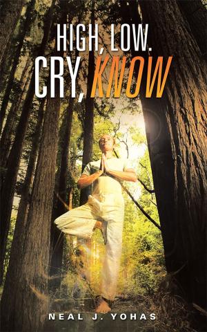 Cover of the book High, Low. Cry, Know by Sherree A. Felstead