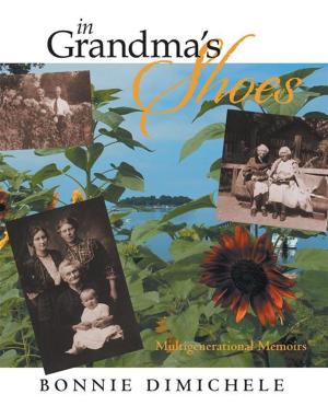 Cover of the book In Grandma's Shoes by Pamela Brodeur