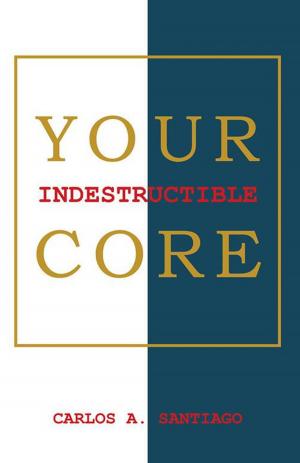 Cover of the book Your Indestructible Core by Barbara A. Puffin