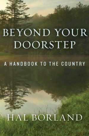 Cover of the book Beyond Your Doorstep by Ann M. Martin