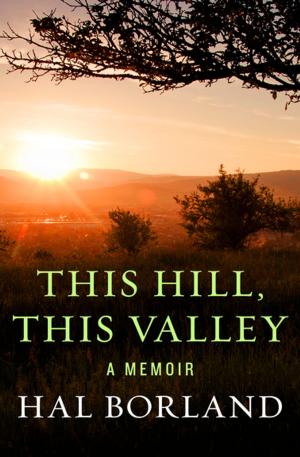 Cover of the book This Hill, This Valley by Aaron Elkins