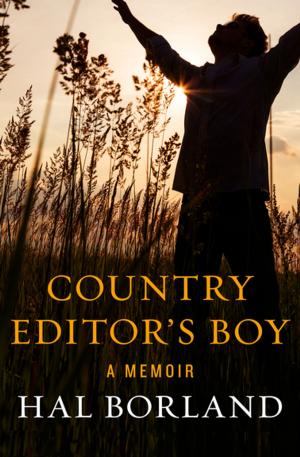 Cover of the book Country Editor's Boy by Nancy Springer