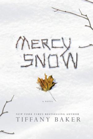 Cover of the book Mercy Snow by Douglas Preston, Lincoln Child