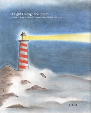Cover of the book A Light Through the Storm by David Winston, Steven Maimes