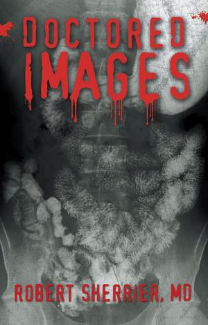 Cover of the book Doctored Images by Heath E. Hoy