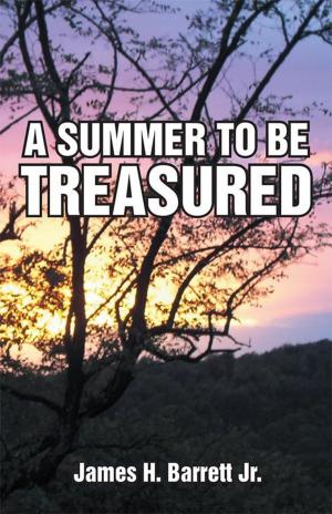Cover of the book A Summer to Be Treasured by Joe Denham