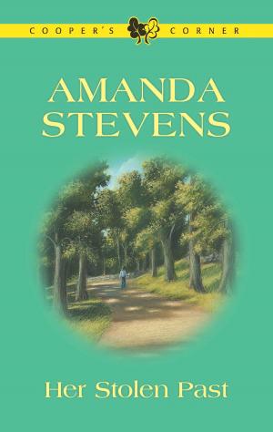 Cover of the book Her Stolen Past by Anne Eames