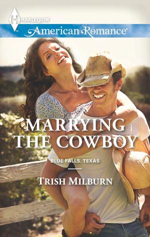 bigCover of the book Marrying the Cowboy by 