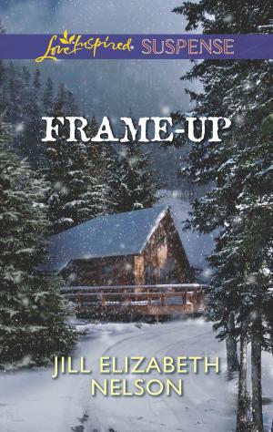 Cover of the book Frame-Up by Robyn Donald, Jane Porter, Elizabeth Harbison