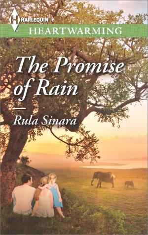 Cover of the book The Promise of Rain by Delores Fossen, Rita Herron, Robin Perini