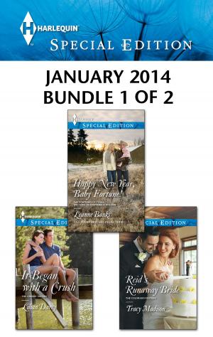 Book cover of Harlequin Special Edition January 2014 - Bundle 1 of 2