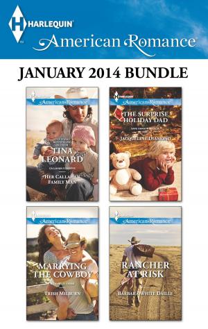 Cover of the book Harlequin American Romance January 2014 Bundle by Katherine Hole