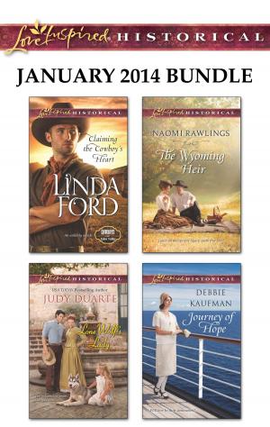 Cover of the book Love Inspired Historical January 2014 Bundle by Brenda Minton, Arlene James, Patricia Davids, Deb Kastner
