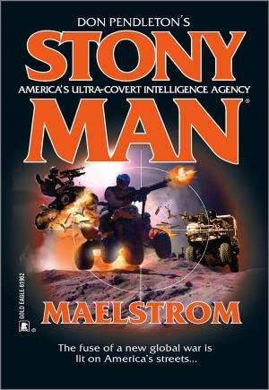 Cover of the book Maelstrom by James Axler