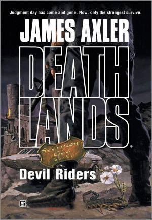 Book cover of Devil Riders