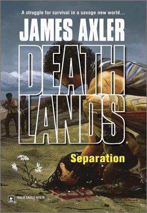 Cover of the book Separation by James Axler