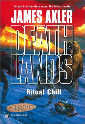Cover of the book Ritual Chill by Don Pendleton