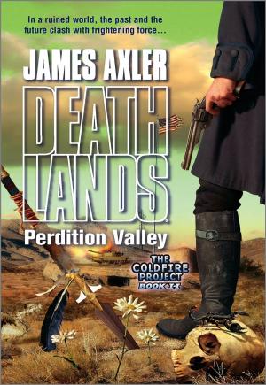 Cover of the book Perdition Valley by James Axler