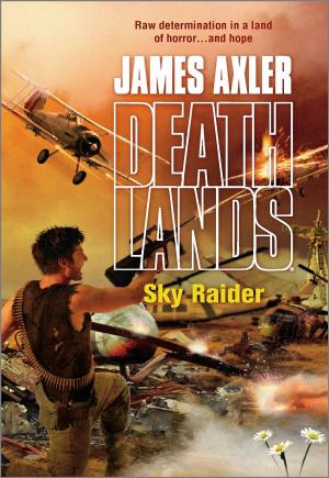 Cover of the book Sky Raider by Don Pendleton