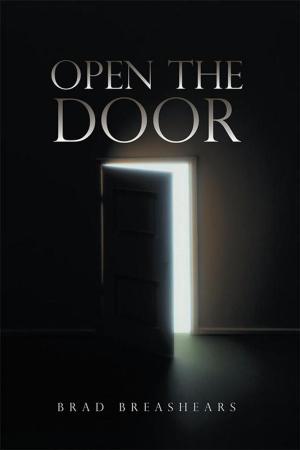 Cover of the book Open the Door by Cristina Siracusa