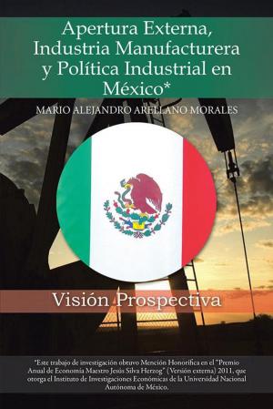 Cover of the book Apertura Externa, Industria Manufacturera Y Política Industrial En México* by Damian Arias - Matos