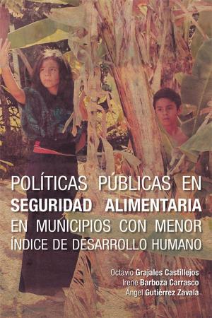 Cover of the book Políticas Públicas En Seguridad Alimentaria En Municipios Con Menor Índice De Desarrollo Humano by Jesus Humberto Enriquez Rubio MD