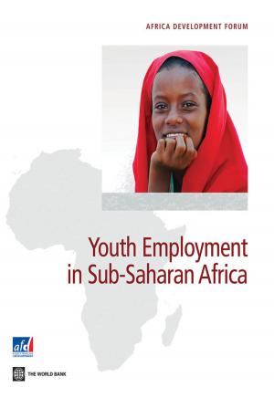 Cover of the book Youth Employment in Sub-Saharan Africa by Jorge Thompson Araujo, Ekaterina Vostroknutova, Markus Brueckner, Clavijo, Konstantin M. Wacker