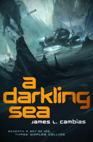 Cover of the book A Darkling Sea by Jim Grimsley