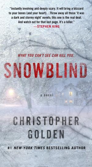 Cover of the book Snowblind by Caris Roane
