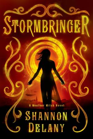 Cover of the book Stormbringer by John Hoover