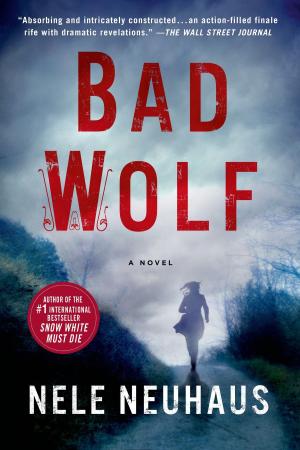 Cover of the book Bad Wolf by Barrymore Tebbs