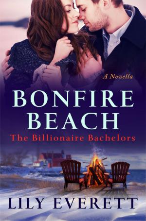 Cover of the book Bonfire Beach by M. C. Beaton