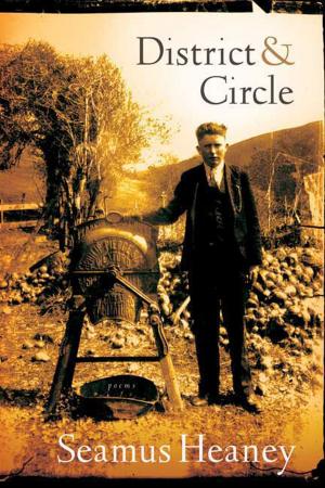 Cover of the book District and Circle by David J. Hand