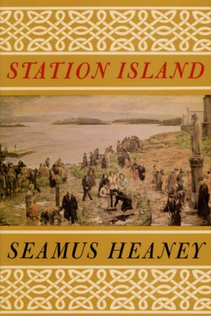 Cover of the book Station Island by Susan Sontag