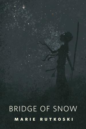 Cover of the book The Bridge of Snow by Mike Blakely