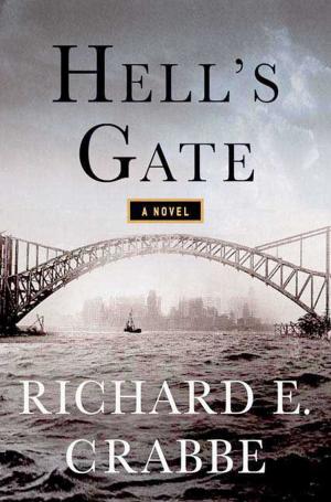 Cover of the book Hell's Gate by Roger Priddy