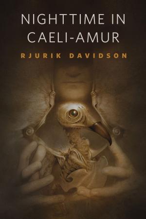 Cover of the book Nighttime in Caeli-Amur by Deborah Coates