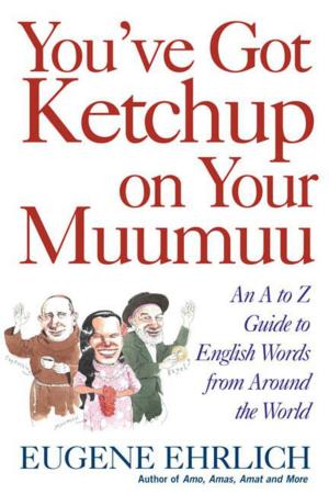 Cover of the book You've Got Ketchup on Your Muumuu by Arun Chaudhary