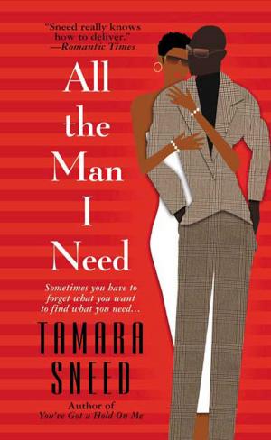 Cover of the book All The Man I Need by Phillip DePoy