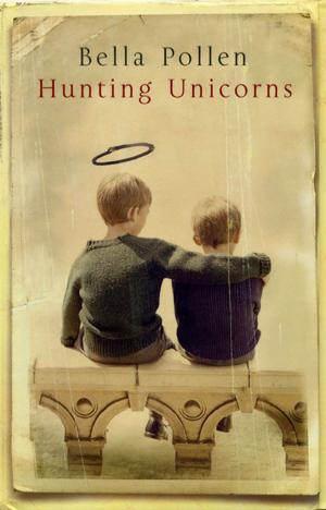 Cover of the book Hunting Unicorns by Man Martin