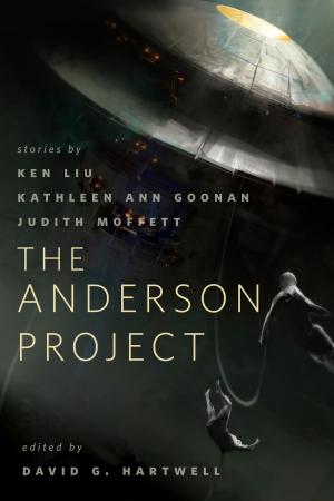 Cover of the book The Anderson Project by Harold Robbins, Junius Podrug