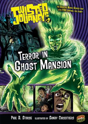 Cover of the book Terror in Ghost Mansion by Jon M. Fishman