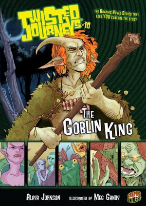 Cover of the book The Goblin King by Shannon Knudsen